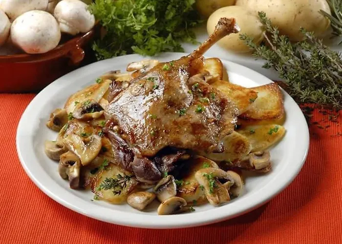 Urbain Logis Du Puy St Frontperigueux Périgueux