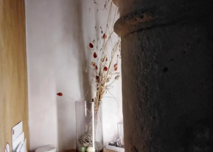 Urbain Logis Du Puy St Frontperigueux Appartement