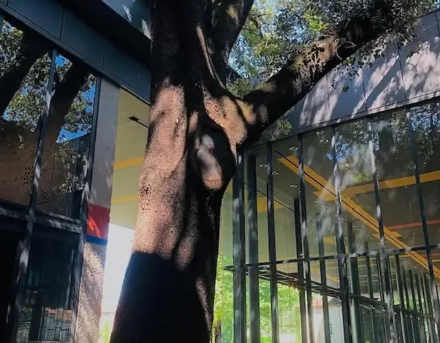 Urbain Logis Du Puy St Frontperigueux Périgueux
